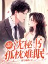 桑总夜敲门,沈秘书孤枕难眠