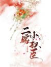 二嫁小权臣