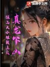 真龙下山:极品大小姐赖上我